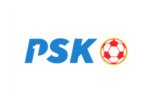 pregled-482-prikaz